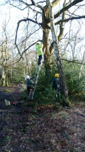 13-01-27-nestboxes-p1030858