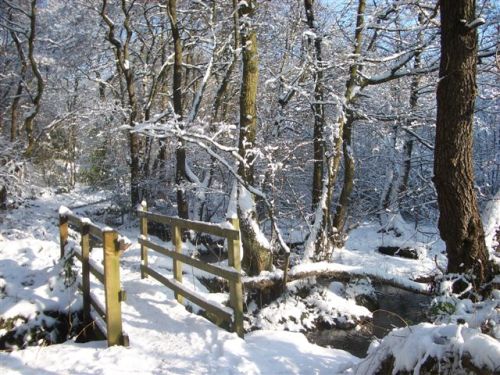 The bridge from Spring Hill