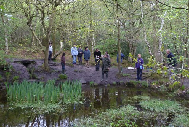 Friends of Adel Woods pond dipping in Adel Pond Leeds.