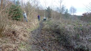 A view showing the widened path in the foreground