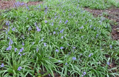 14-04-26-P1050228 - Version 2