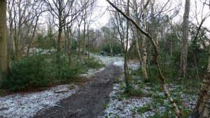 Spot Tina litterpicking at Adel Crag!