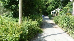 Same scene less Himalayan Balsam