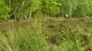 Adel Moor: 21 May 2016