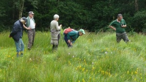 Inspecting the flora on Adel Bog