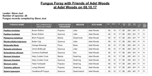 17-10-08-page 2 jpeg