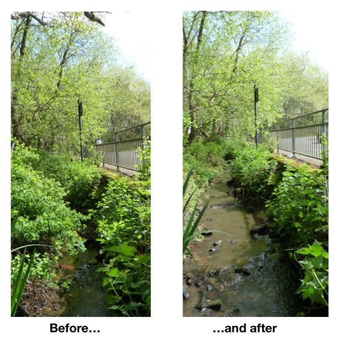 18-05-13-nanny beck before and after