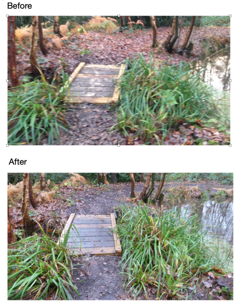 Screenshot 2018-11-27 at 18.57.41