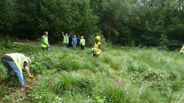 Adel Bog 21 July 2019