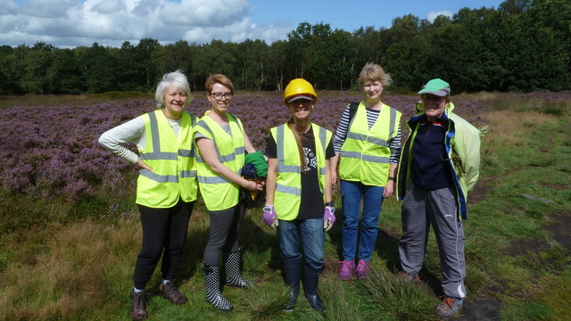 Friends of Adel Woods working on Adel Moor on 17 August 2019