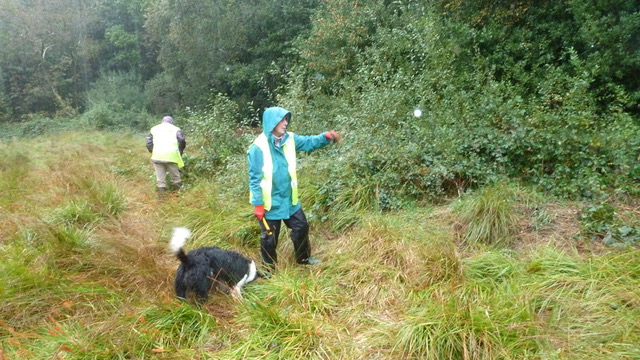 Adel Bog 29 September 2019