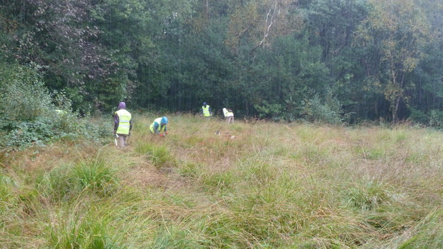 Adel Bog 29 September 2019