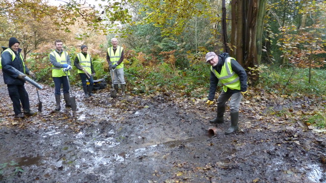 Adel Woods 16 November