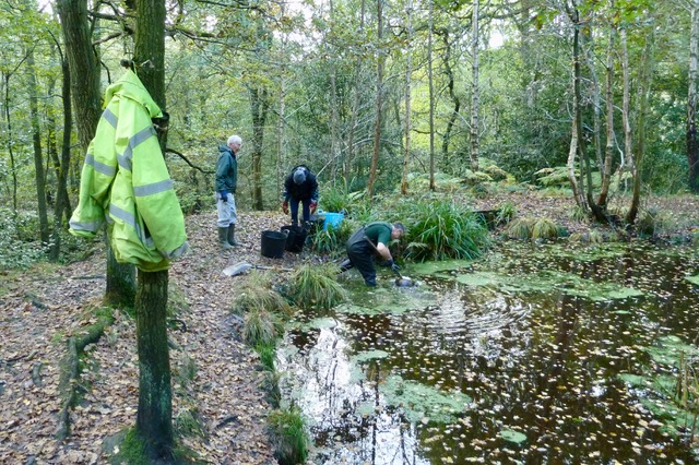 Adel Pond 27 October 2019