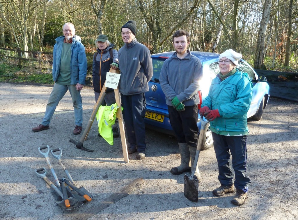 Friends of Adel Woods