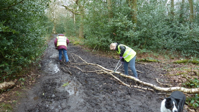 Friends of Adel Woods, the Meanwood Valley Trail