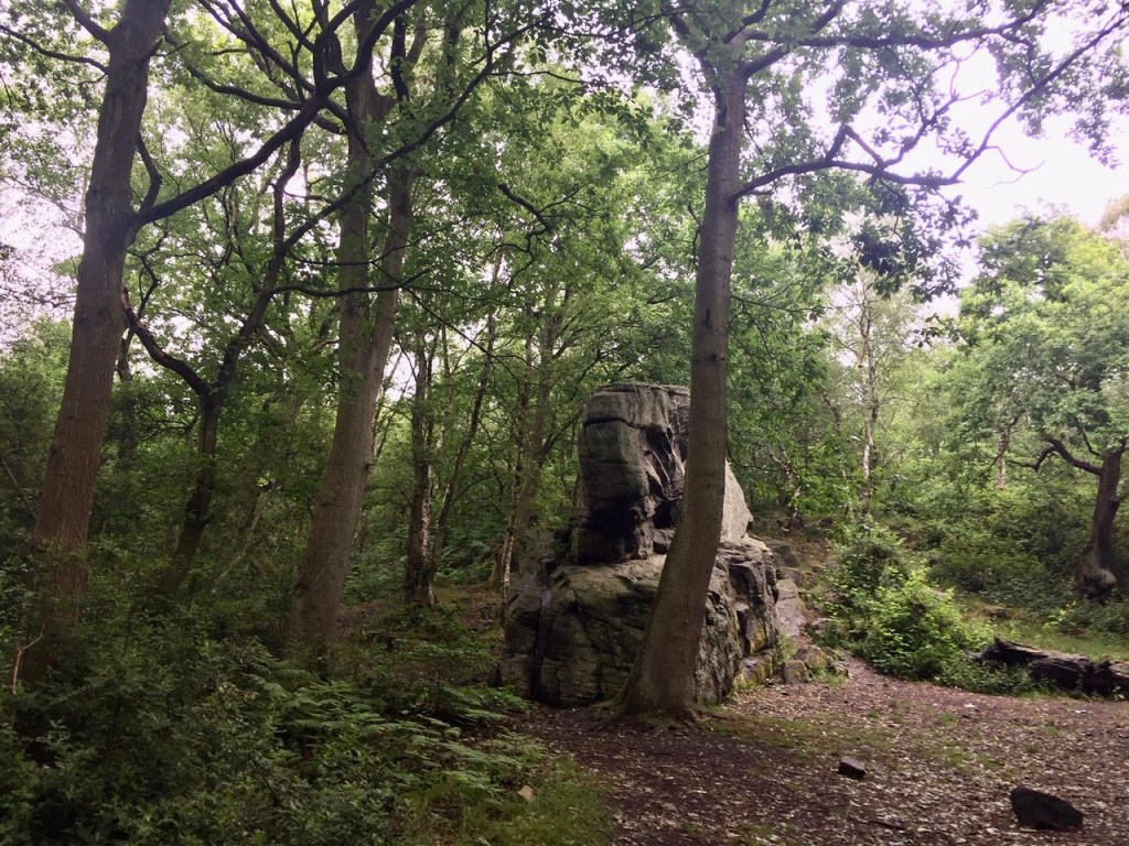 Adel Crag; Alwoodley Crag