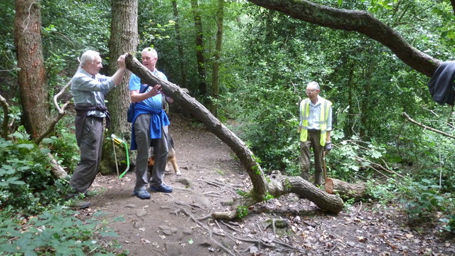 Adel Woods 25 July 2021