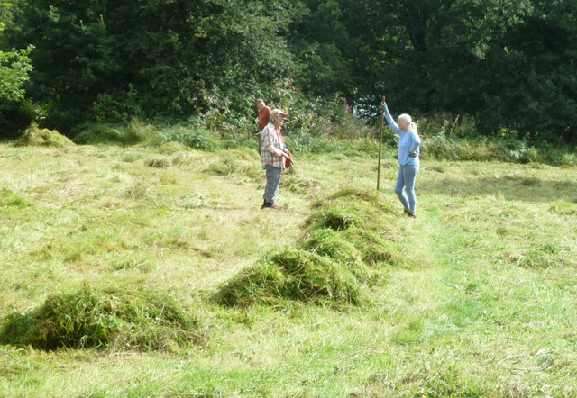 The orchid meadow, Adel Woods, Leeds, 22nd August 2021