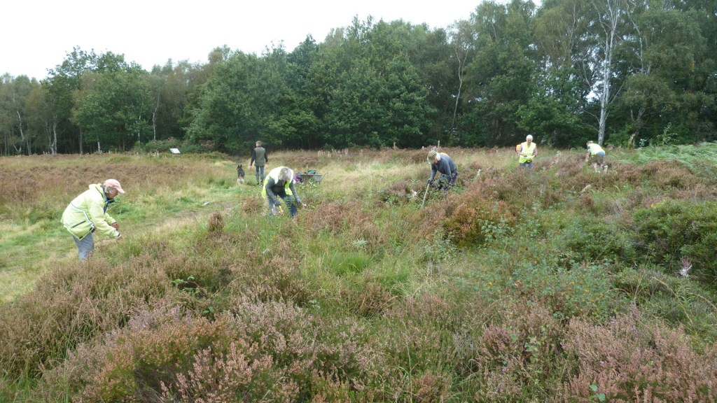 Adel Moor, 19th September 2021; Friends of Adel Woods
