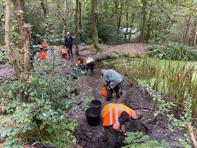 Friends of Adel Woods working on Adel Pond on the 9th October 2021