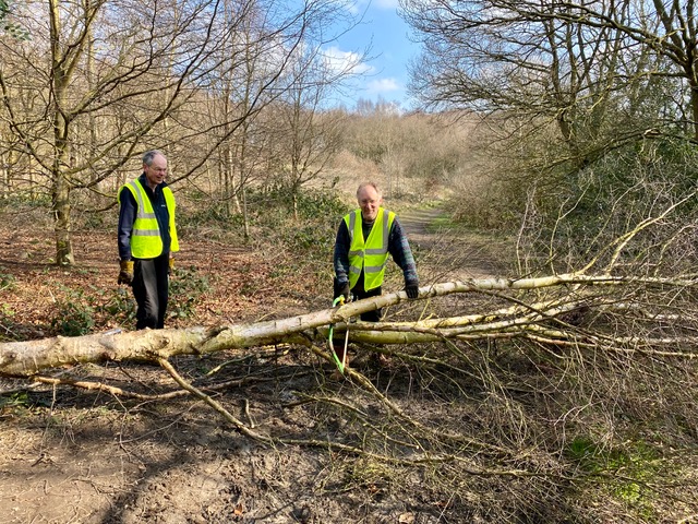 Friends of Adel Woods; hospice woodland, Adel Woods