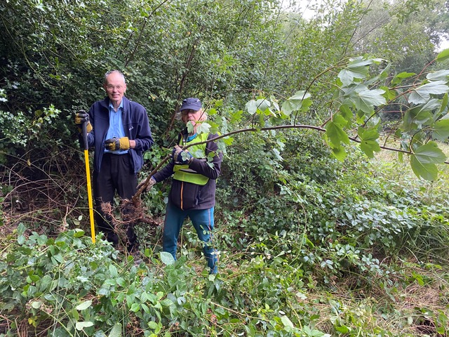 Friends of Adel Woods working on Adel Bog, Leeds on the 20th August 2022