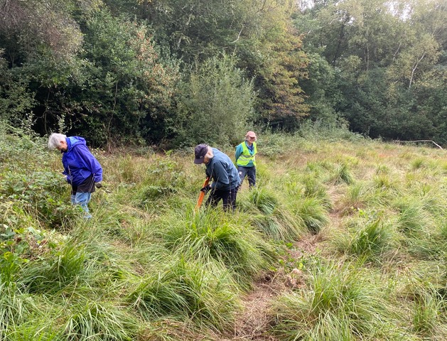 Friends of Adel Woods: Adel Bog, 18th September 2022

