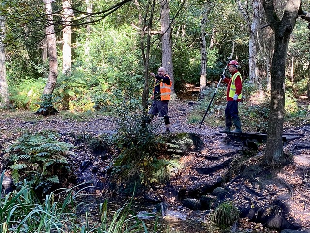 Friends of Adel Wood; Adel Pond, Adel Woods, Leeds