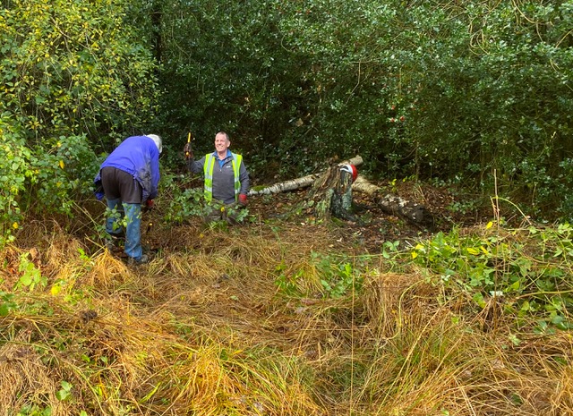 Friends of Adel Woods, working on Adel Bog on the 20th November 2022
