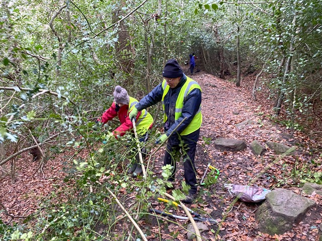 Friends of Adel Woods: path clearing on 18 December 2022
