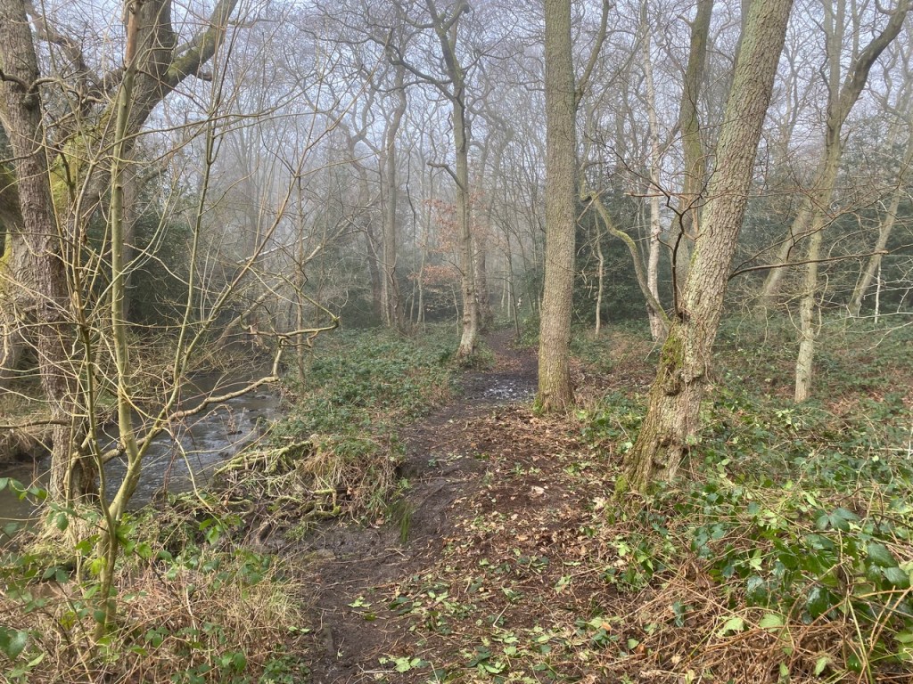 Adel Beck on 21st January 2023
