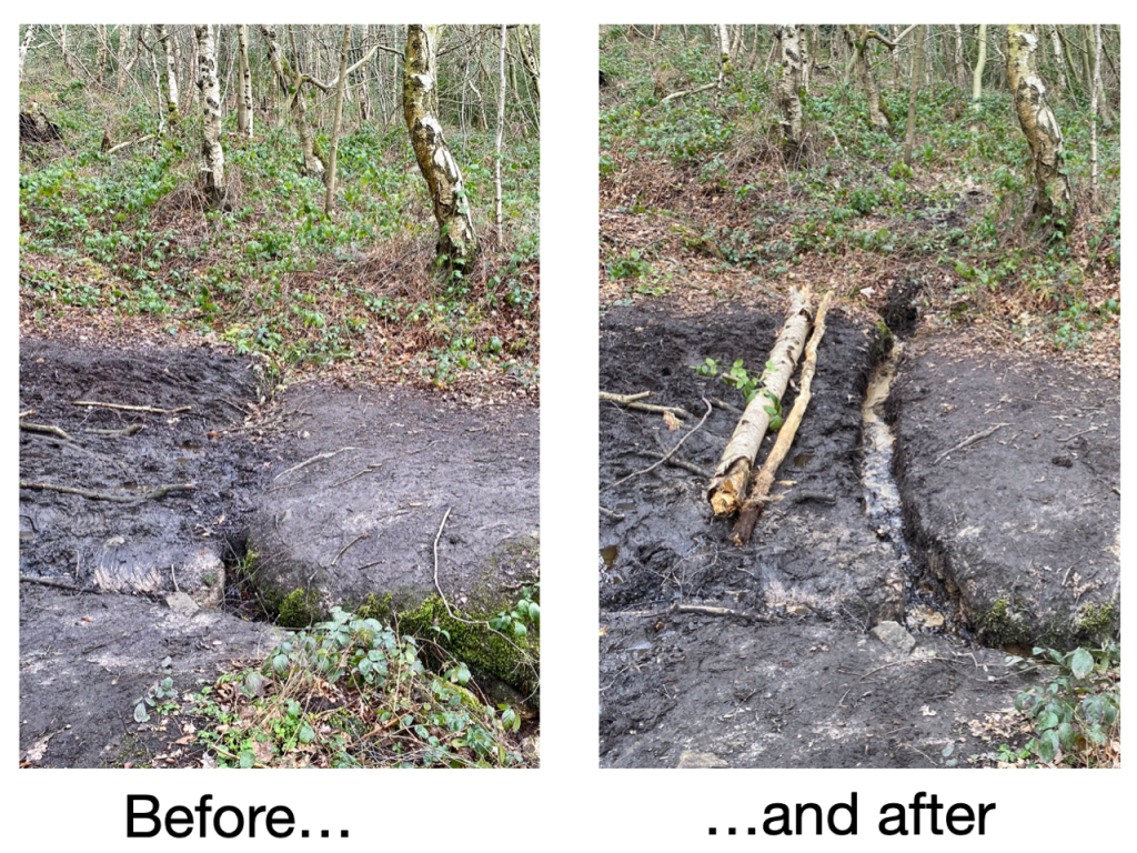 Friends of Adel Woods ditch clearing at Mill Fall Pond or Adel Pond on 25th March 2023