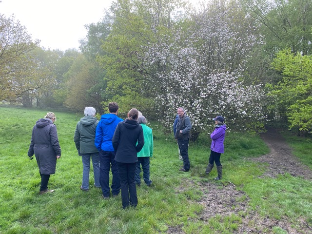 Friends of Adel Woods birdwatching in Adel Woods