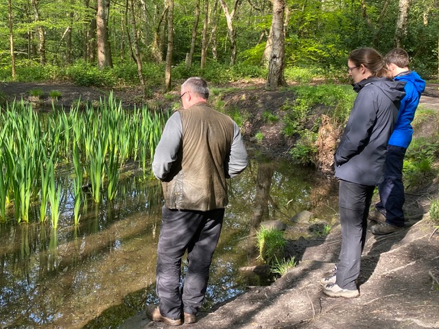 Friends of Adel Woods: birdsong walk in Adel Woods