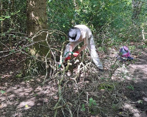 Friends of Adel Woods path clearing in Adel Woods on 21st May 2023