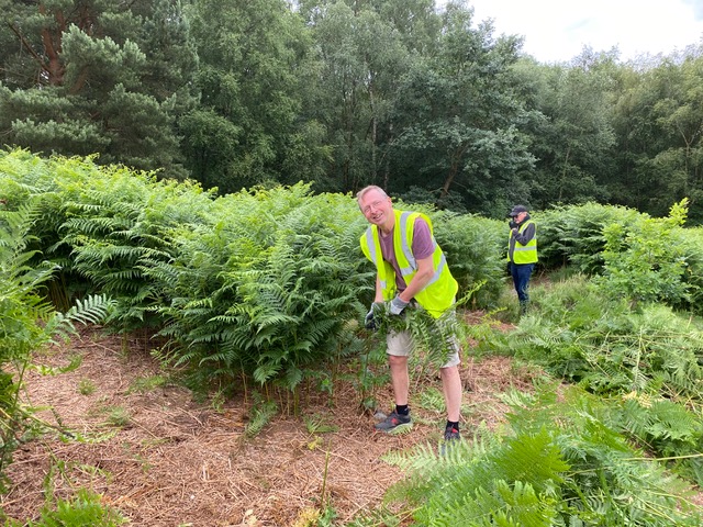 Friends of Adel Moor working on Adel Moor on the 5th July 2023