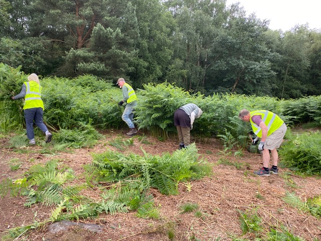 Friends of Adel Moor working on Adel Moor on the 5th July 2023