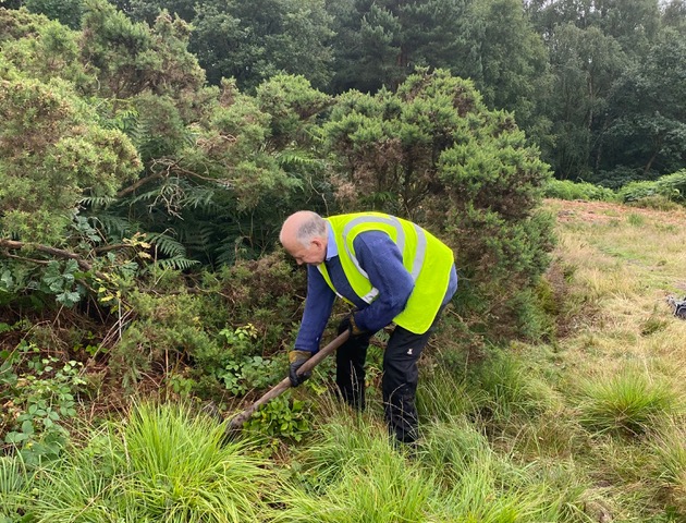 Friends of Adel Woods clearing brambles from gorse on Adel Moor on 15th July 2023