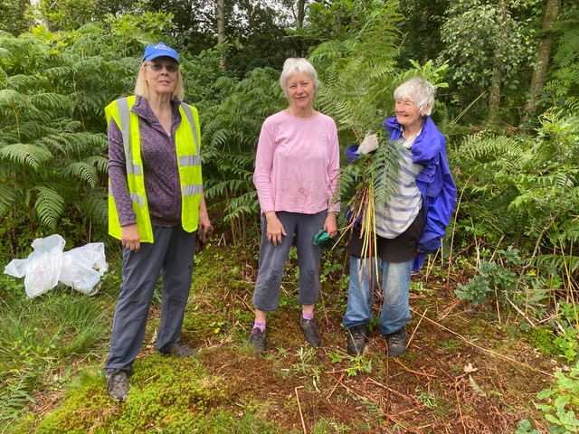 Friends of Adel Woods working on Adel Moor on 19th July 2023