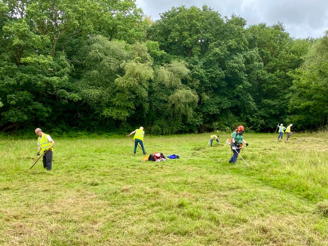 Friends of Adel Woods working on the orchid meadow on 12th August 2023