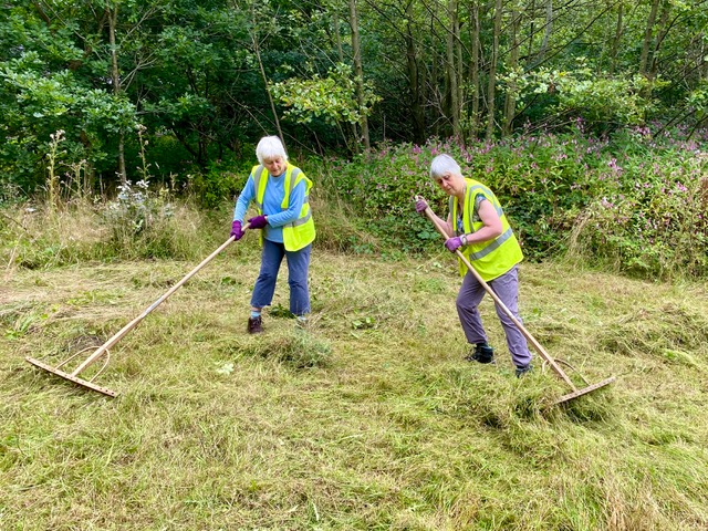 Friends of Adel Woods: raking mowings on the orchid meadow, 12th August 2023