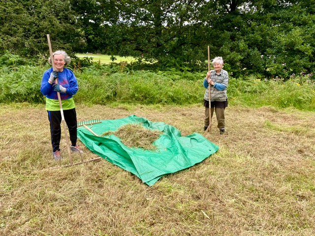 Friends of Adel Woods working on the Orchid Meadow in Adel Woods