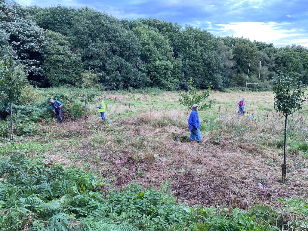 Friends of Adel Woods and Alwoodley 2030 working on the community orchard in Adel Woods on the 21st August 2023