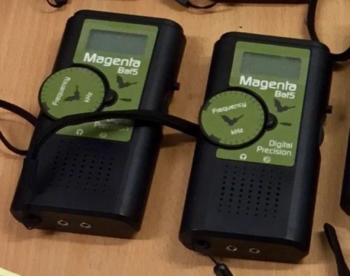 Friends of Adel Woods and bat detectors used on a walk in Adel Woods