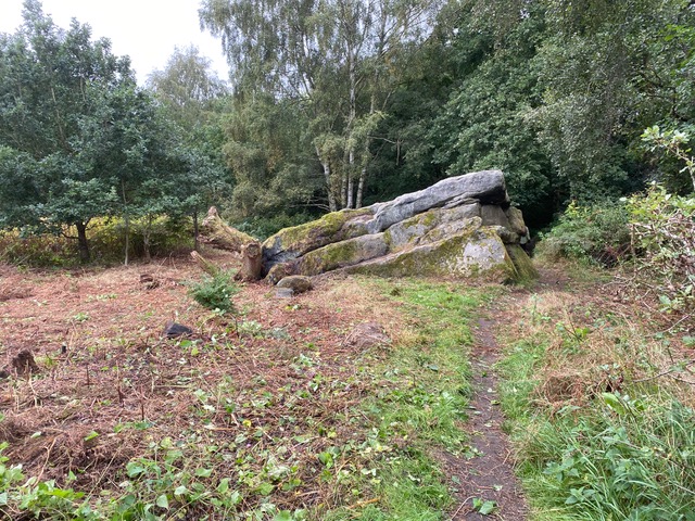 A view of the northern side of the Buck Stone, Adel Woods, on the 16th September 2023