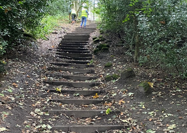 Friends of Adel Woods working on the Stairfoot Lane steps in Adel Woods on the 30th September 2023