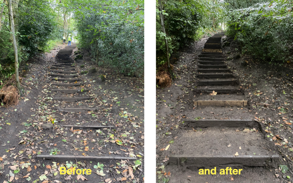 Friends of Adel woods: improvements to the Stairfoot Lane steps.