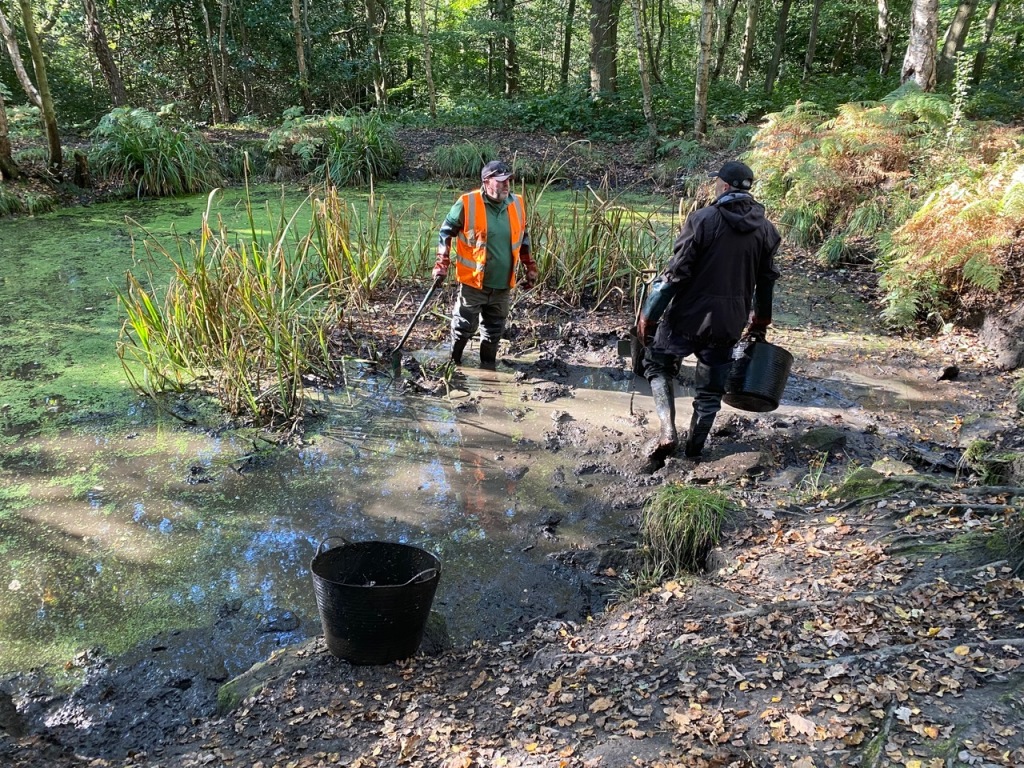Friends of Adel Woods working on Adel Pond on the 15th October 2023