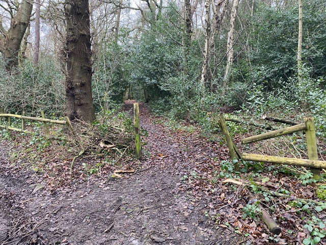Friends of Adel Woods: path clearing in Adel Woods
